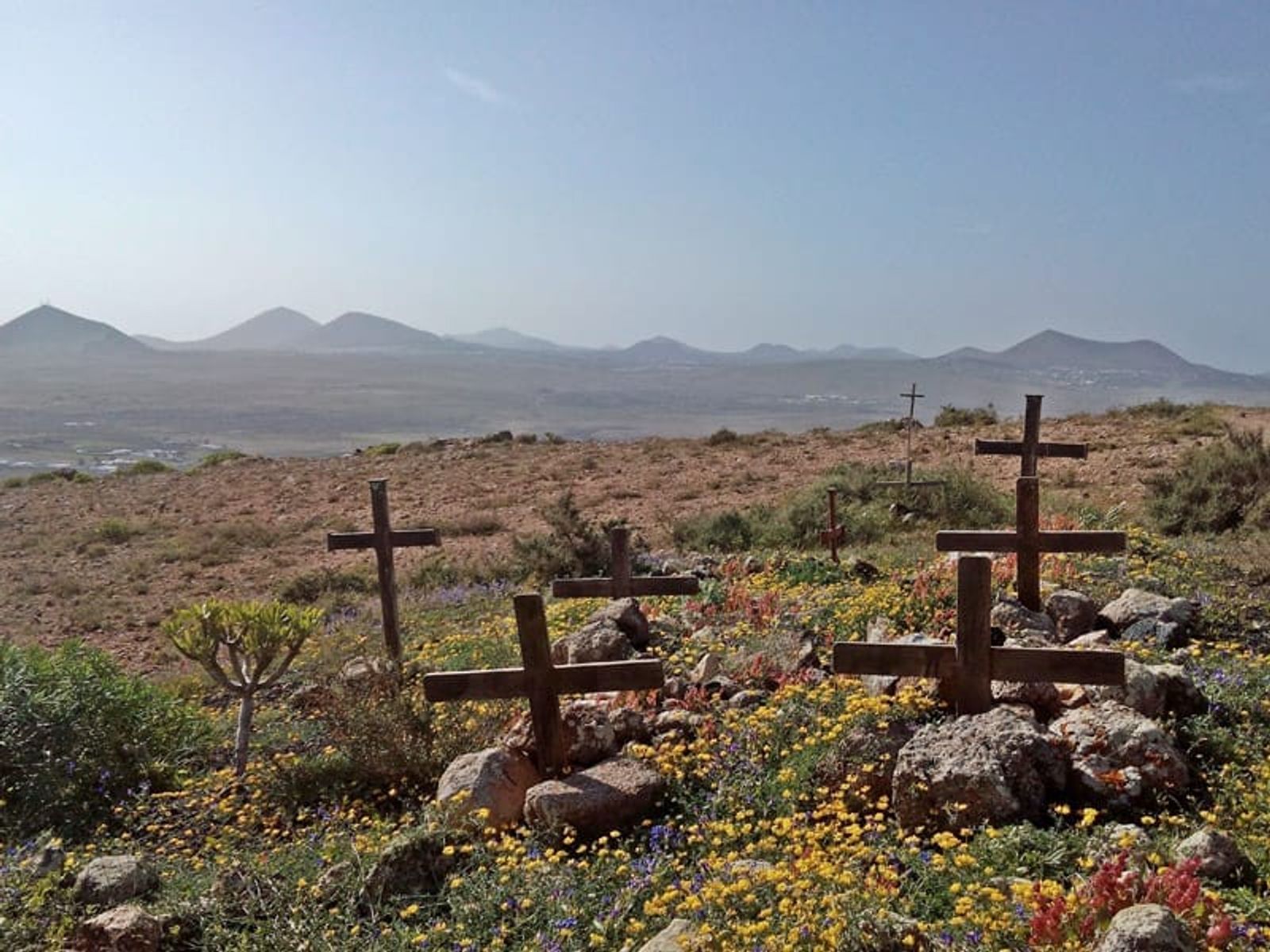 El cementerio perdido de mascotas de Lanzarote