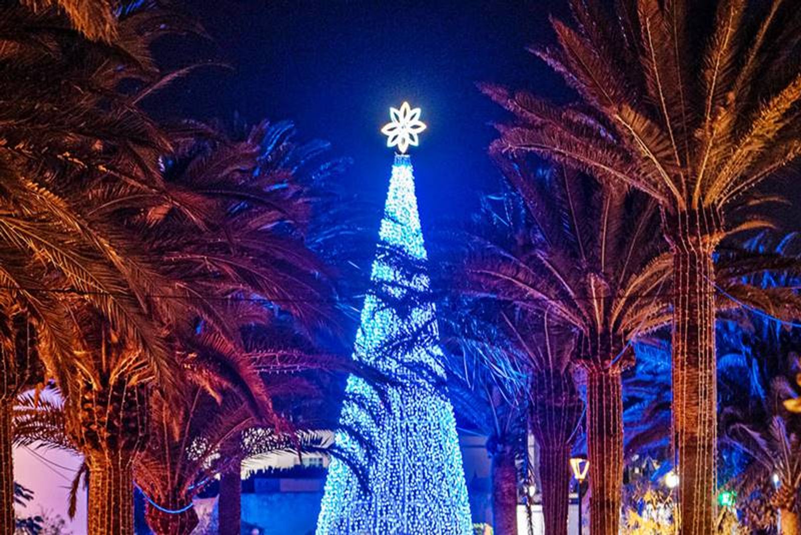 Actividades y concierto para encender el Árbol Navideño de Playa Honda
