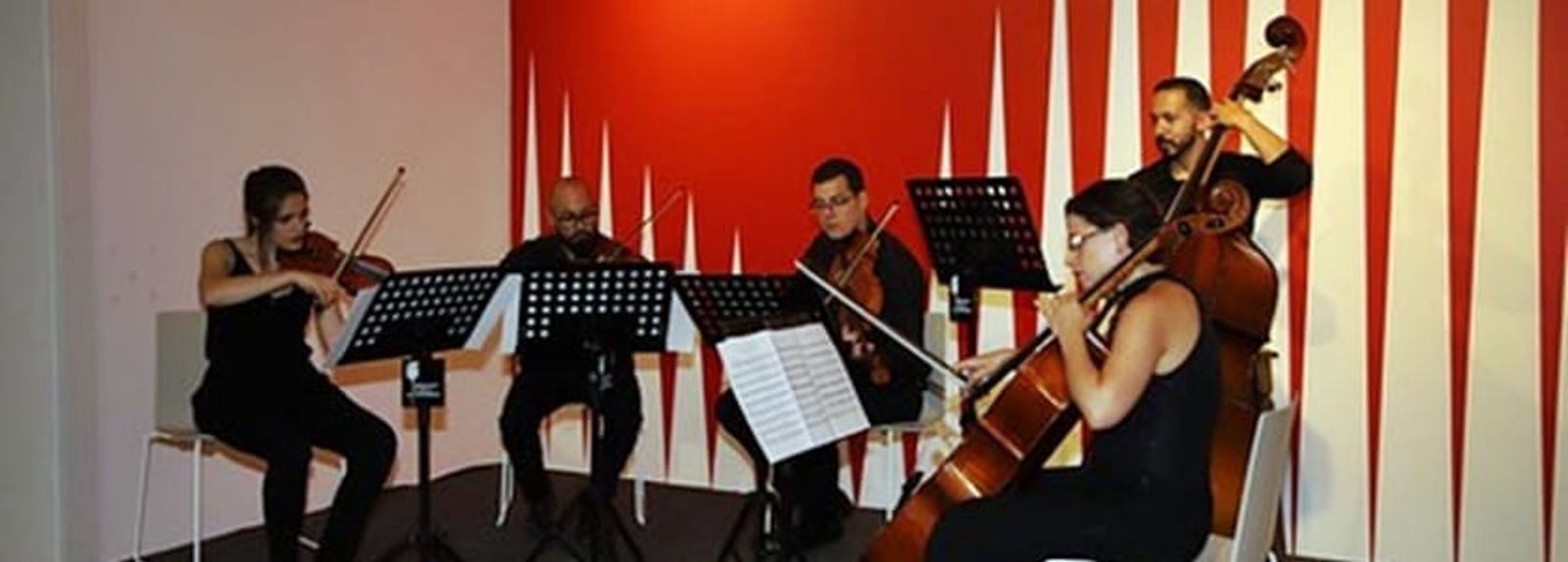 Anunciado el VIII Ciclo de Conciertos Clásicos Arrecife denominado ‘Música y Literatura’