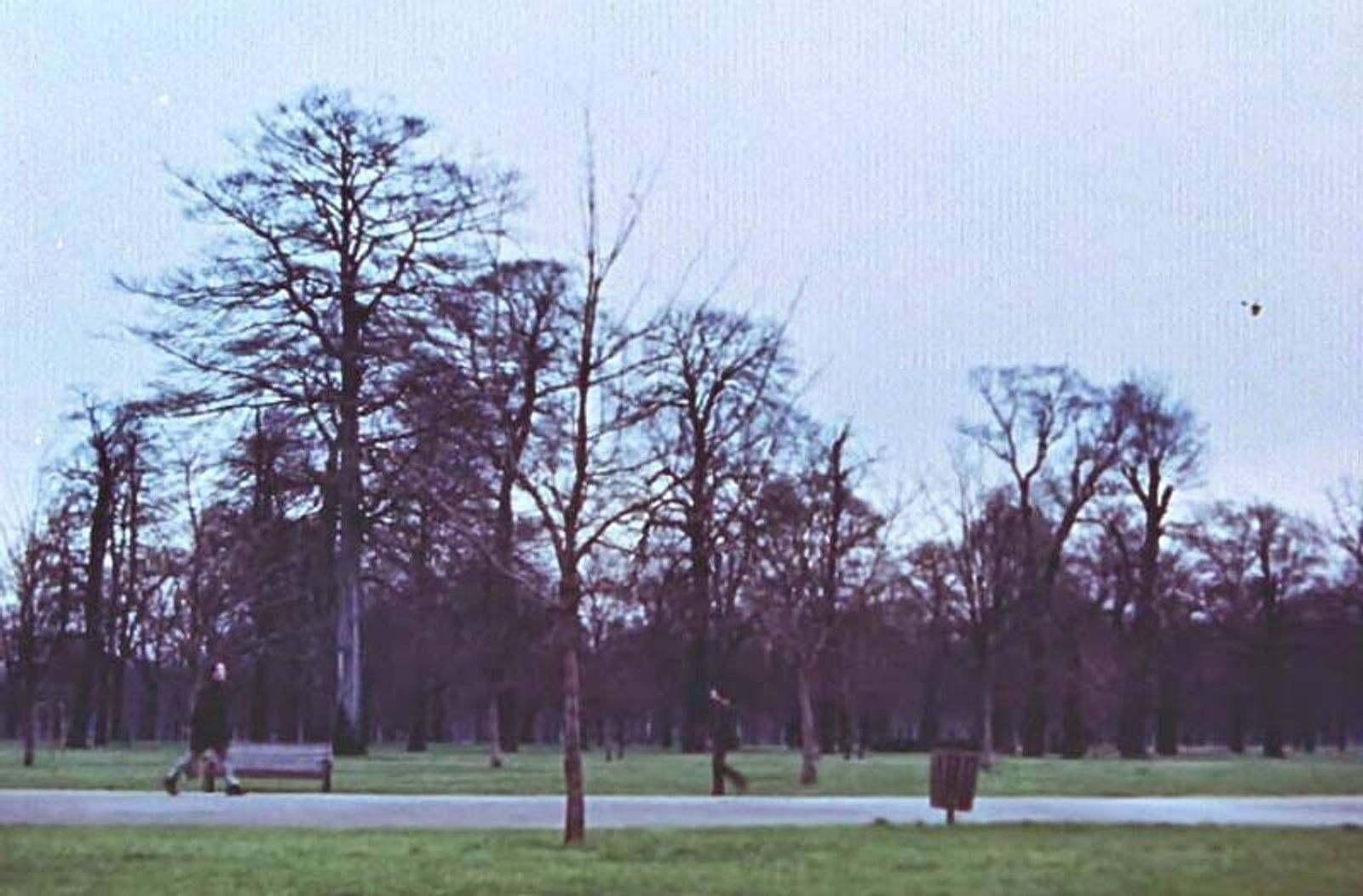 La Muestra de Cine de Lanzarote ofrece este domingo un ciclo del artista experimental Chris Welsby