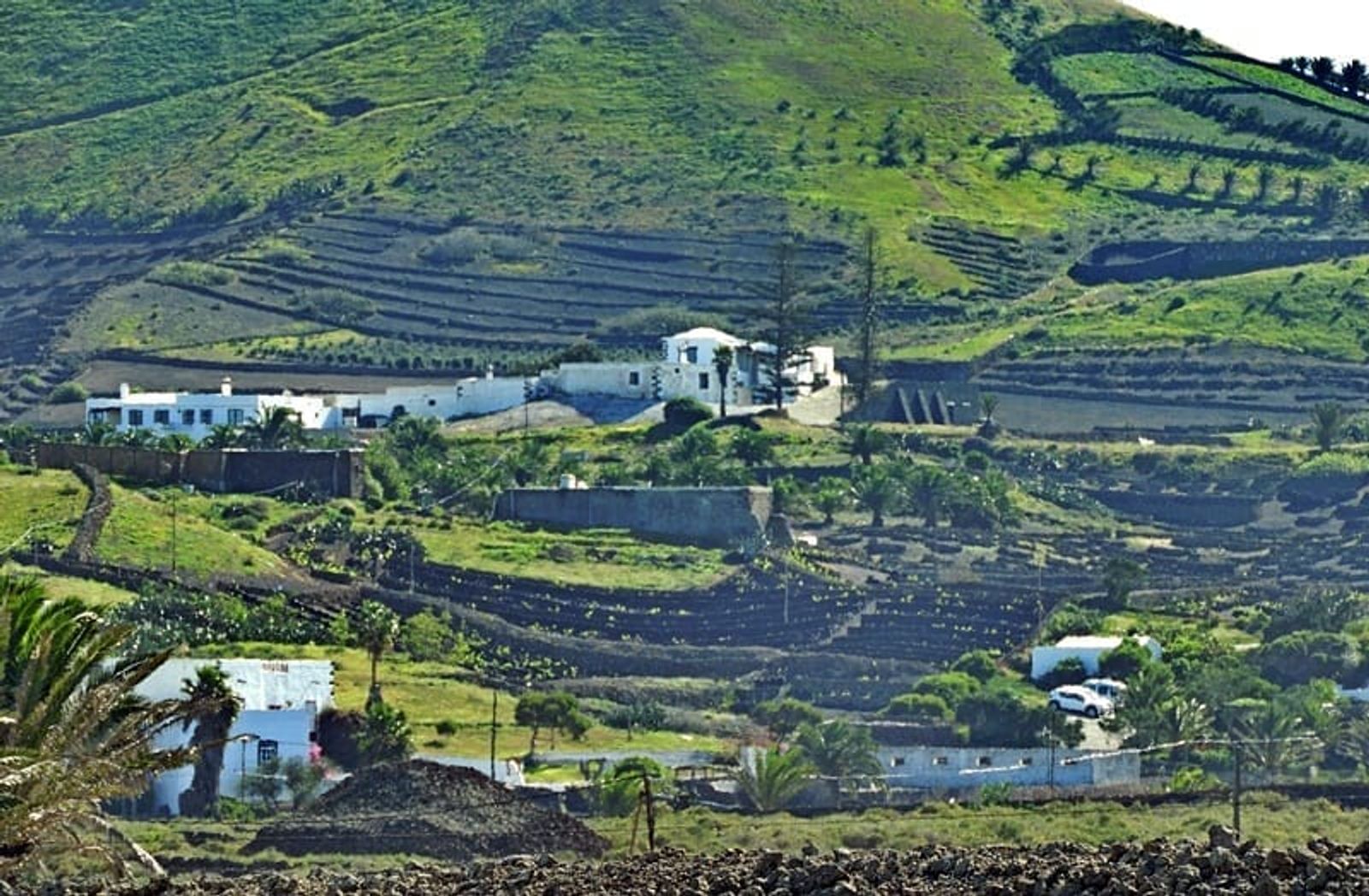 Una plataforma de cultura científica vela por la defensa de la biodiversidad canaria