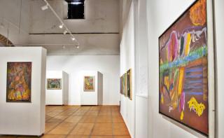 ‘Flores de la Amazonia’ llega al Convento de Santo Domingo, exposición de Sebastiano Navarra