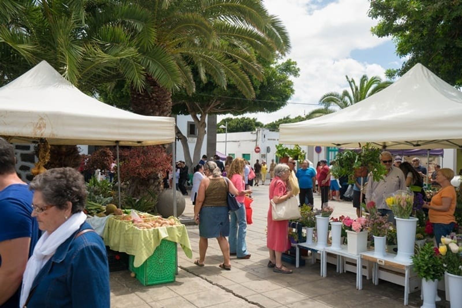 Mercadillo agrícola de Arrecife