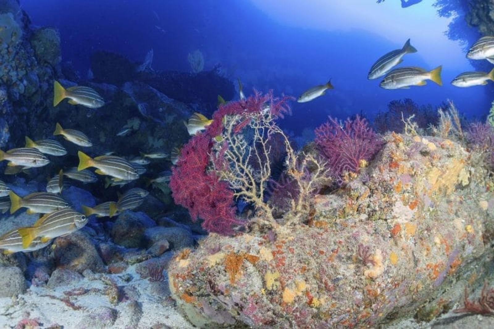 El proyecto ZEConsciente ofrece varios talleres en Puerto del Carmen