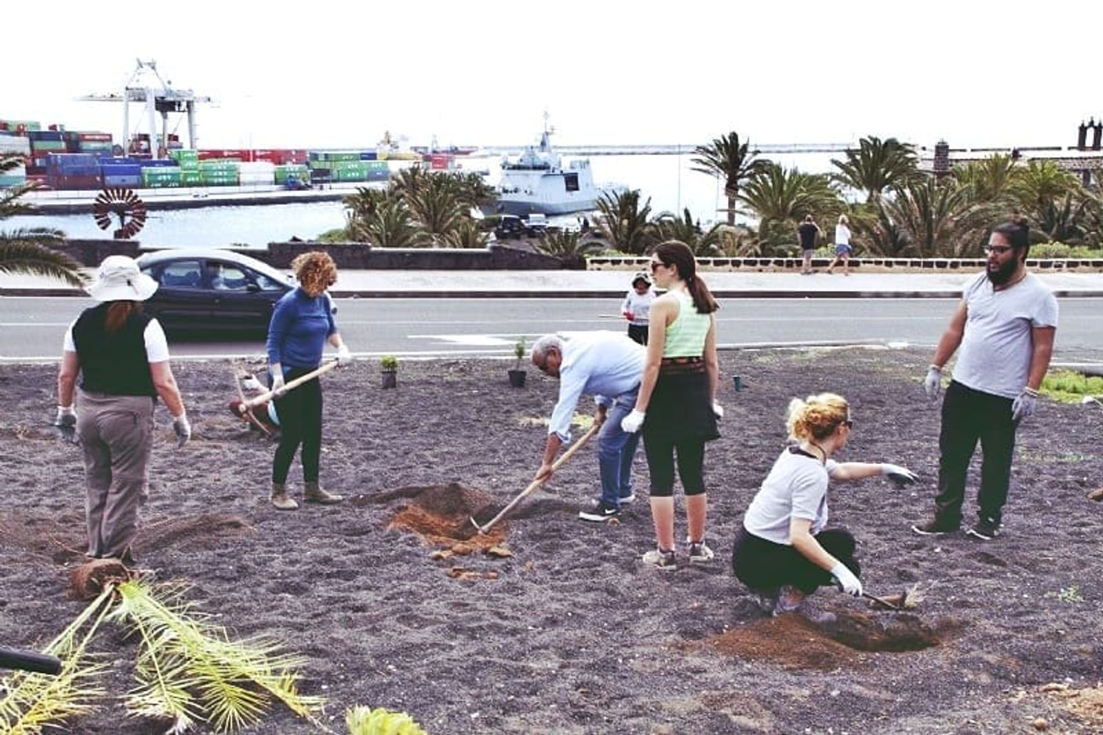 ‘Junt@s Somos Biosfera’ organiza una nueva plantación de flora autóctona
