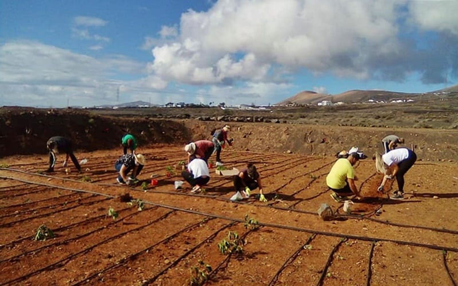 Los huertos comunitarios ya son una realidad en Tías