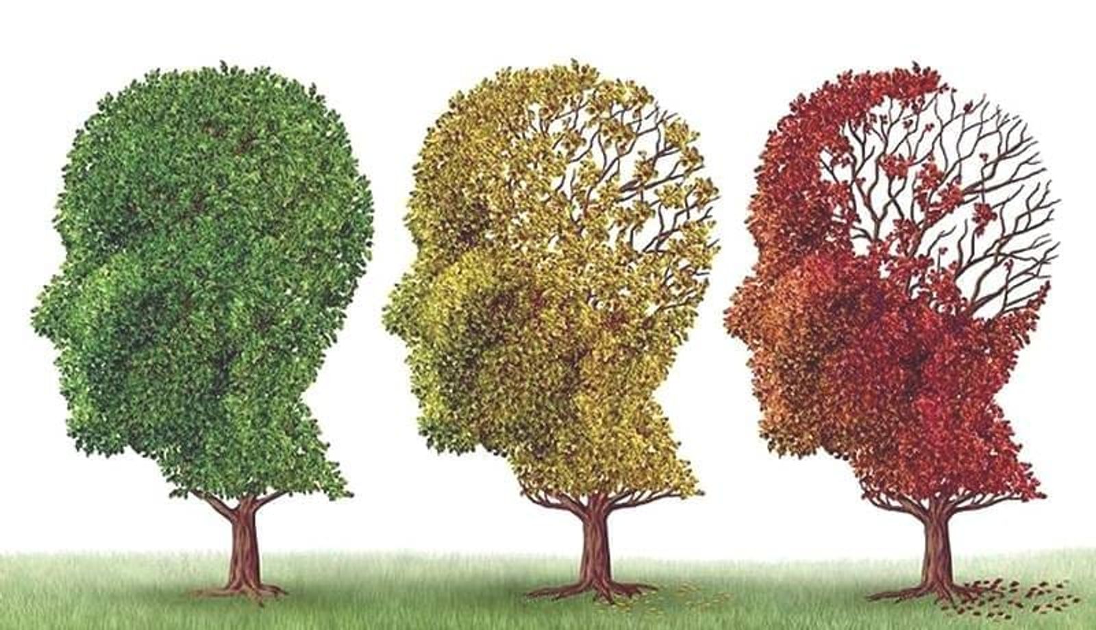Charla sobre patrones de deterioro cognitivo en Arrecife