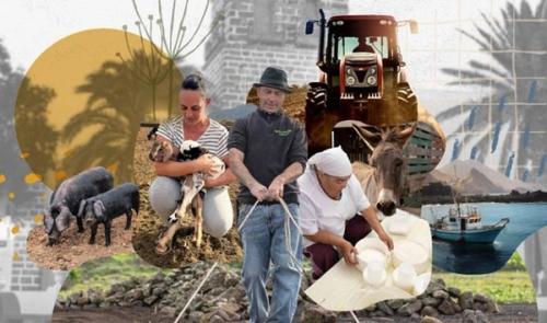 Programa de la V Feria de Agricultura, Ganadería y Pesca de Teguise