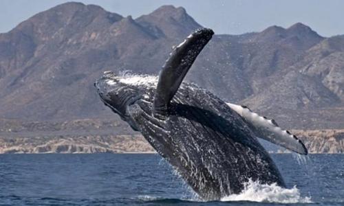 Naciones Unidas instalará en Lanzarote un Observatorio de Cambio Climático