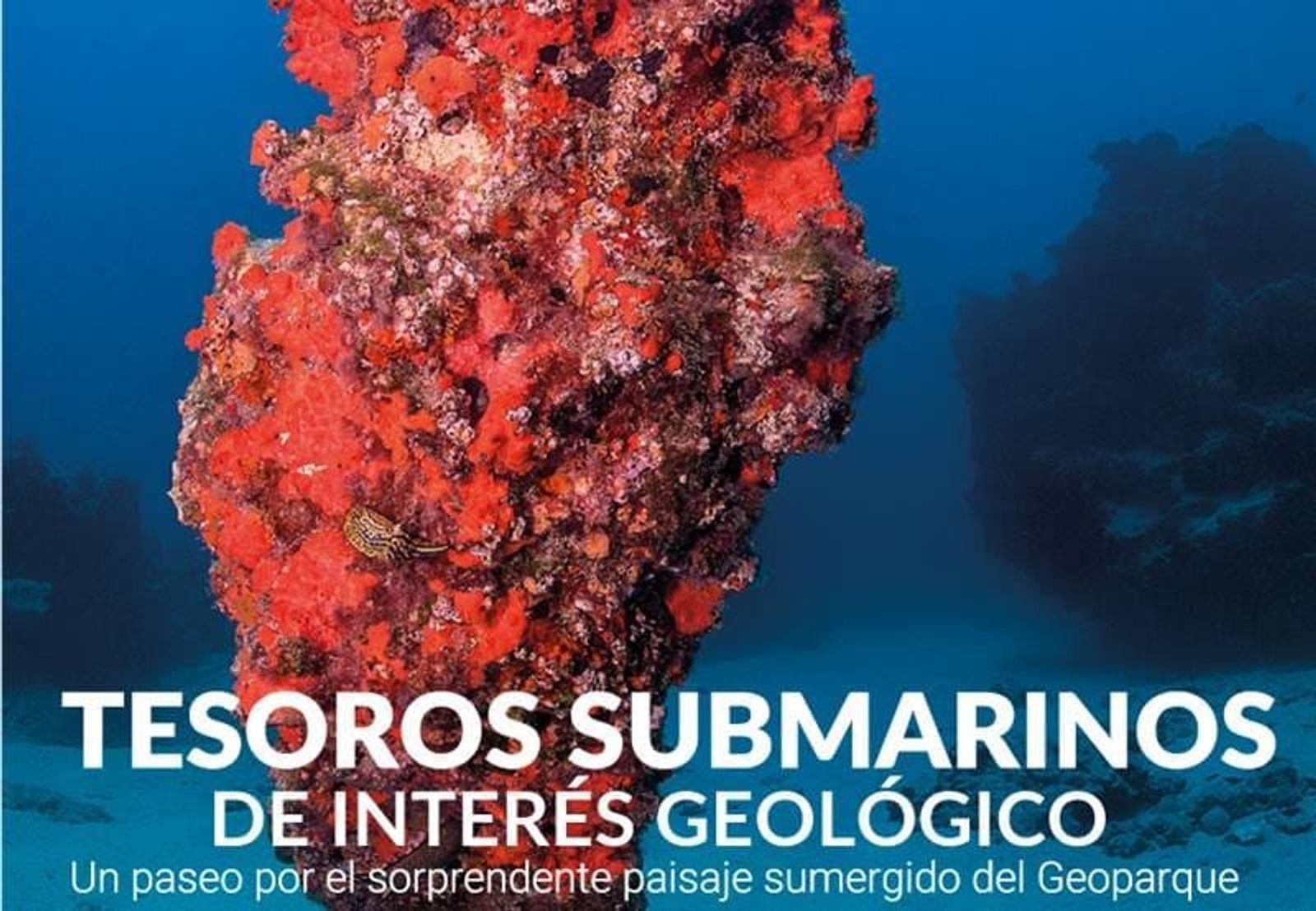 Este miércoles se inaugura la expo fotográfica ‘Tesoros Submarinos de Interés Geológico’