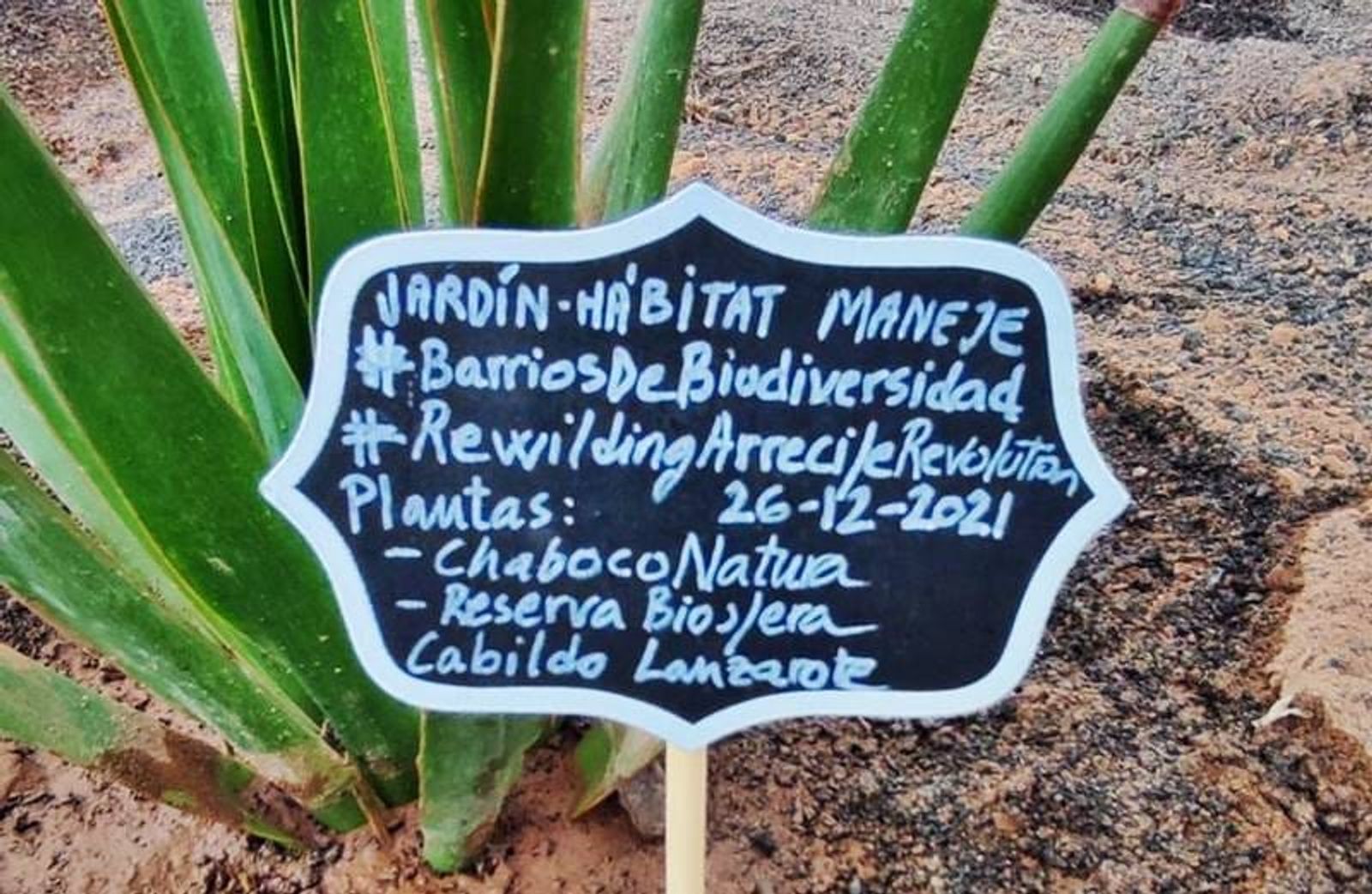Un proyecto de la Universidad de Oxford y Asociación Natura replanta Maneje con especies autóctonas