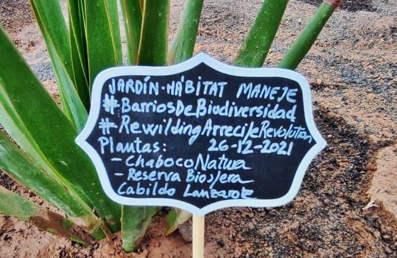 Un proyecto de la Universidad de Oxford y Asociación Natura replanta Maneje con especies autóctonas