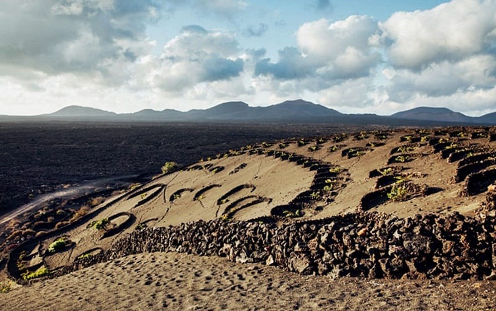 New York Times pasea por las “desoladora belleza” de La Geria