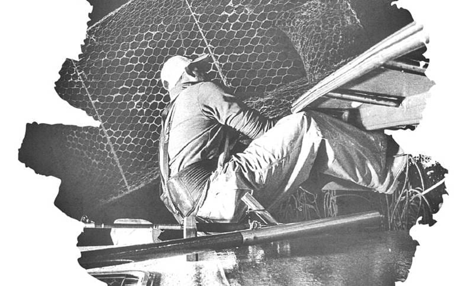 Proyección del documental ‘Manos de Sal’ para conmemorar el Día Mundial de la Pesca