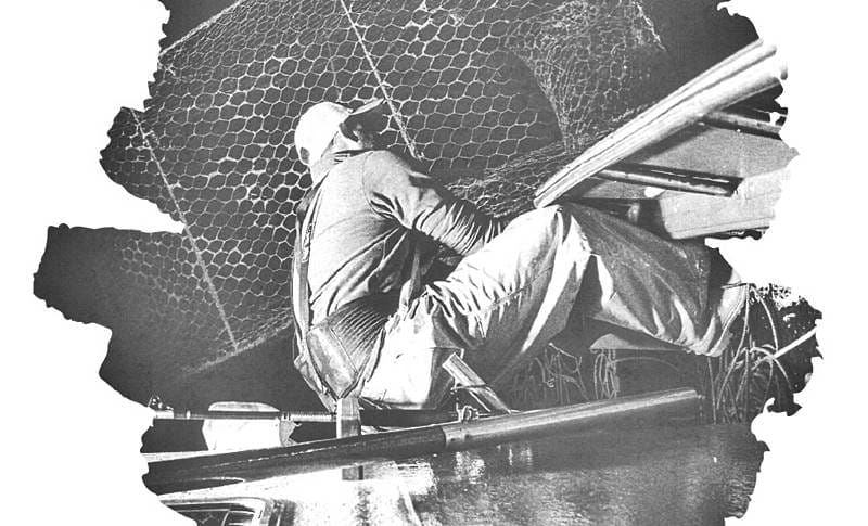 Proyección del documental ‘Manos de Sal’ para conmemorar el Día Mundial de la Pesca