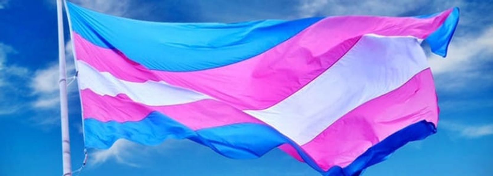Performance ‘Transmutando realidades’ para el celebrar el Día de la Visibilidad Trans