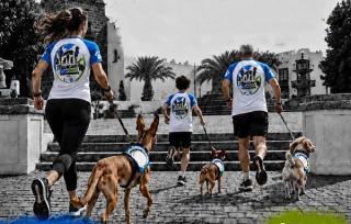 La Villa de Teguise acogerá una carrera solidaria para correr junto a mascotas y apoyar la adopción animal