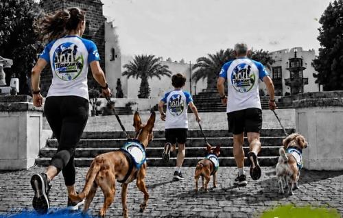La Villa de Teguise acogerá una carrera solidaria para correr junto a mascotas y apoyar la adopción animal
