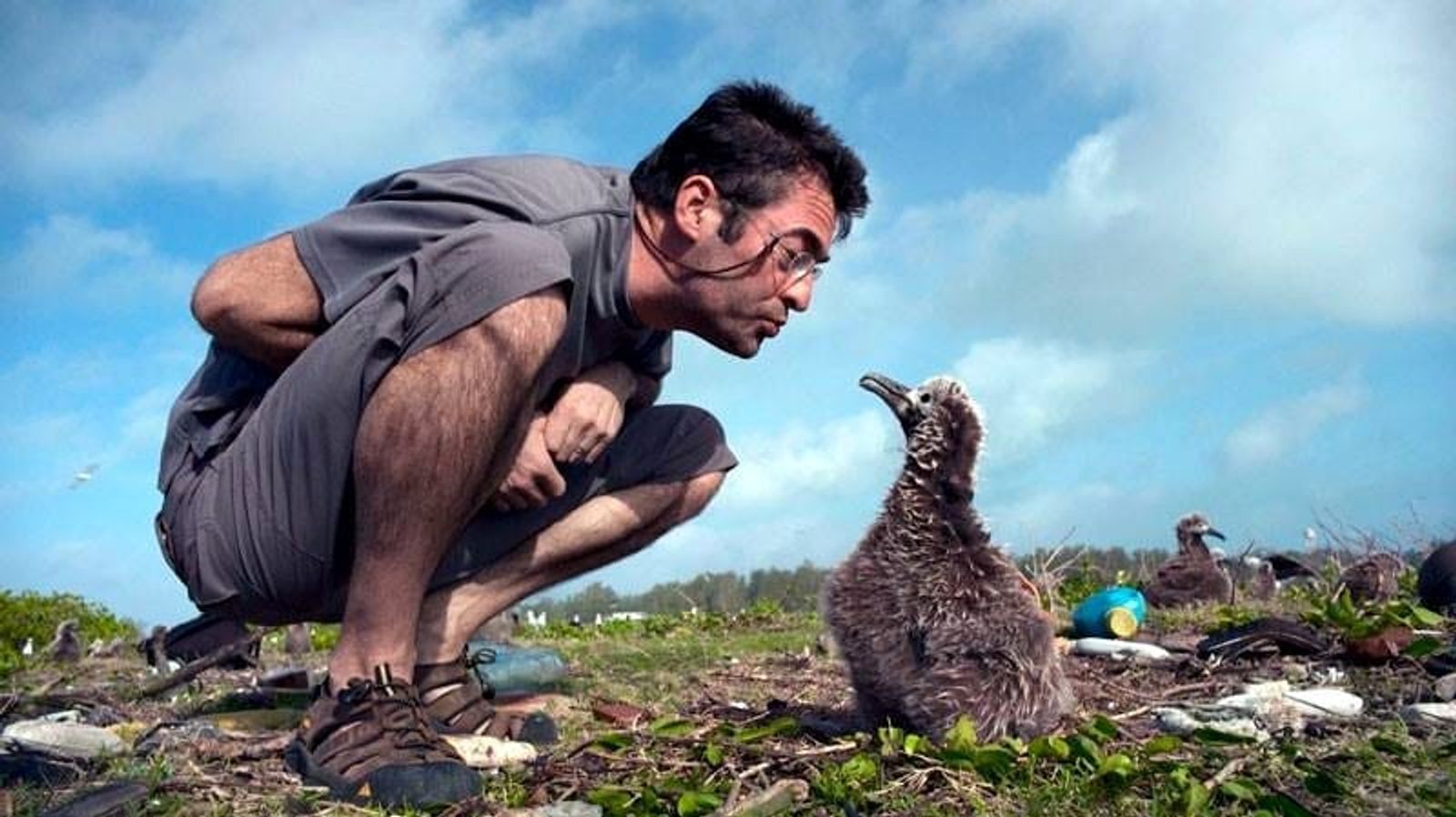 Se estrena en Lanzarote el documental ‘Albatross’, que evidencia el problema que el plástico genera en la naturaleza