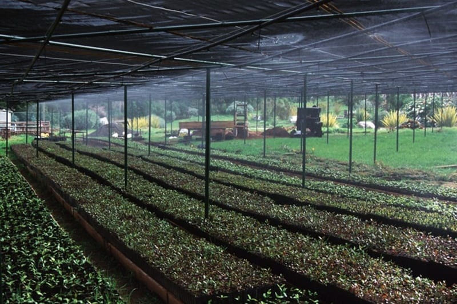 Un curso virtual y gratuito ahondará en la generación alimento verde para animales