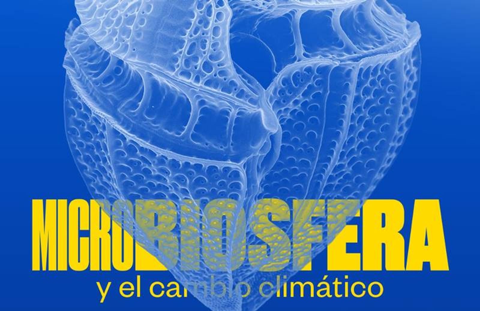 El impacto de la microalgas centra la próxima ponencia de ‘Hablemos de Biosfera’