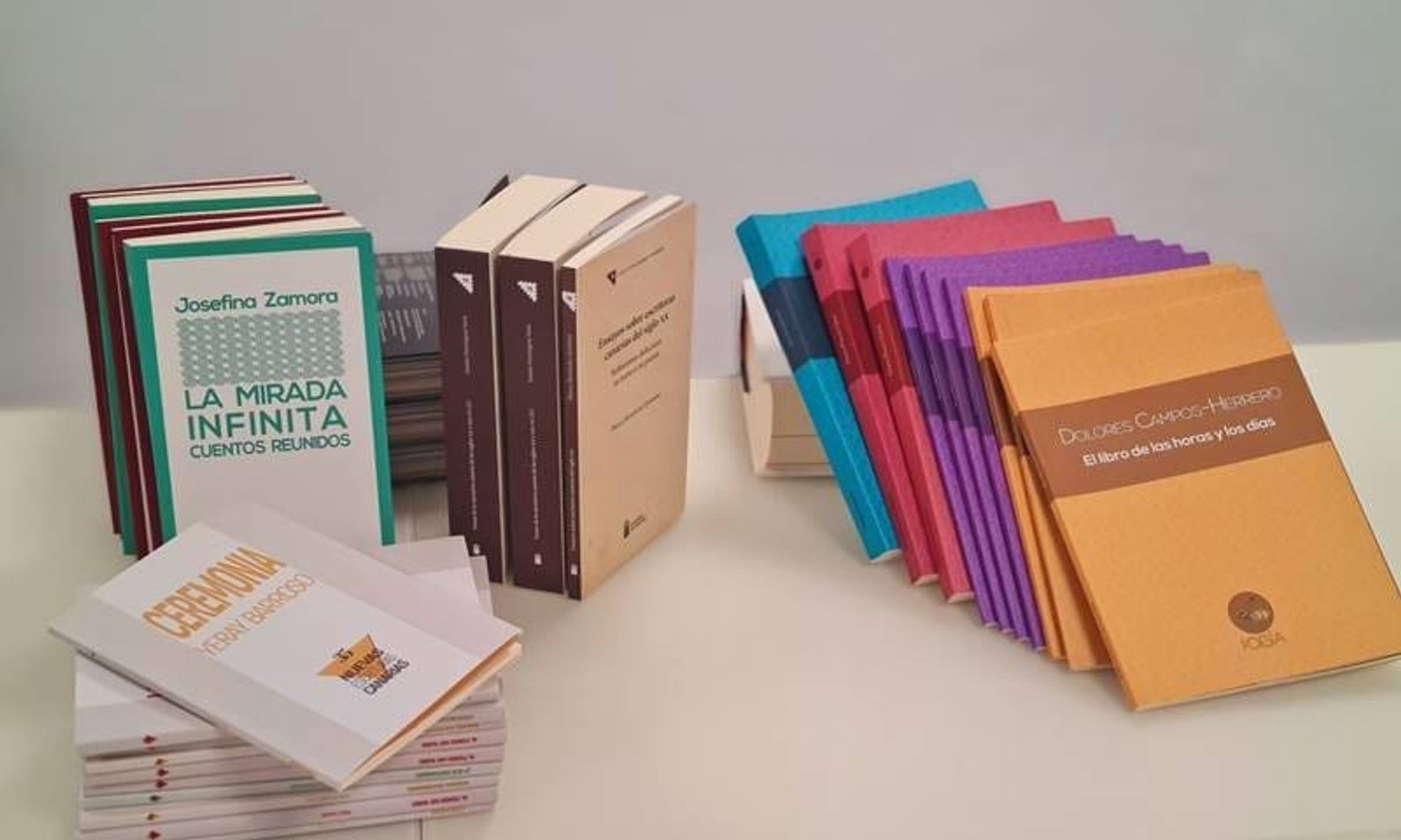 El Gobierno de Canarias seleccionará nuevas obras literarias para integrarlas a sus colecciones