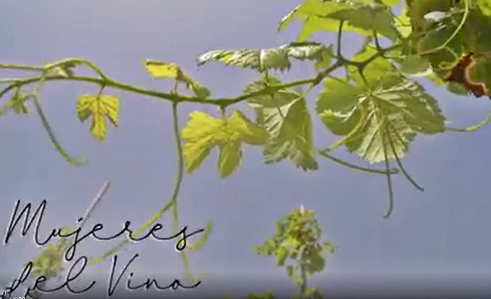 Editado ‘Mujeres del vino’ para conmemorar el Día Internacional de la Mujer Rural