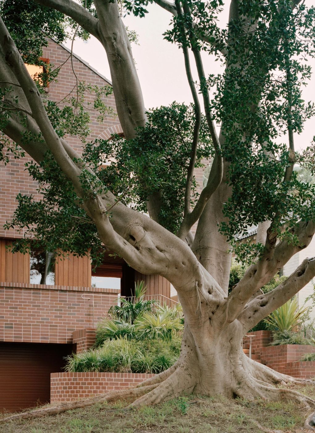 Coogee House III