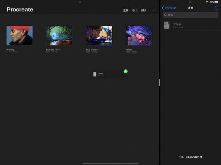 界面 — Procreate 使用手册