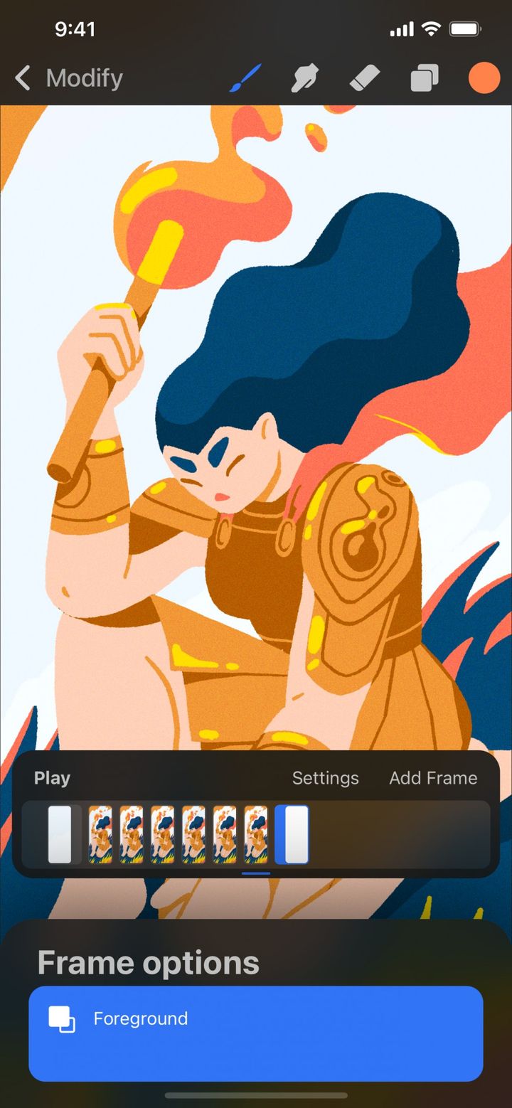 Options — Procreate Pocket Handbook