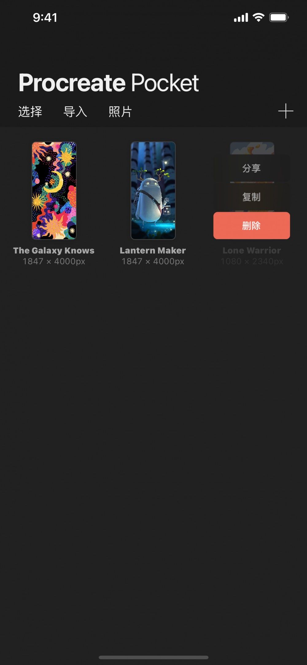 管理作品 — Procreate Pocket 使用手册