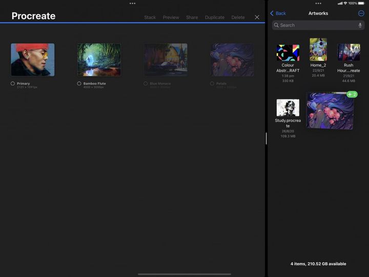 Import and Share — Procreate Handbook