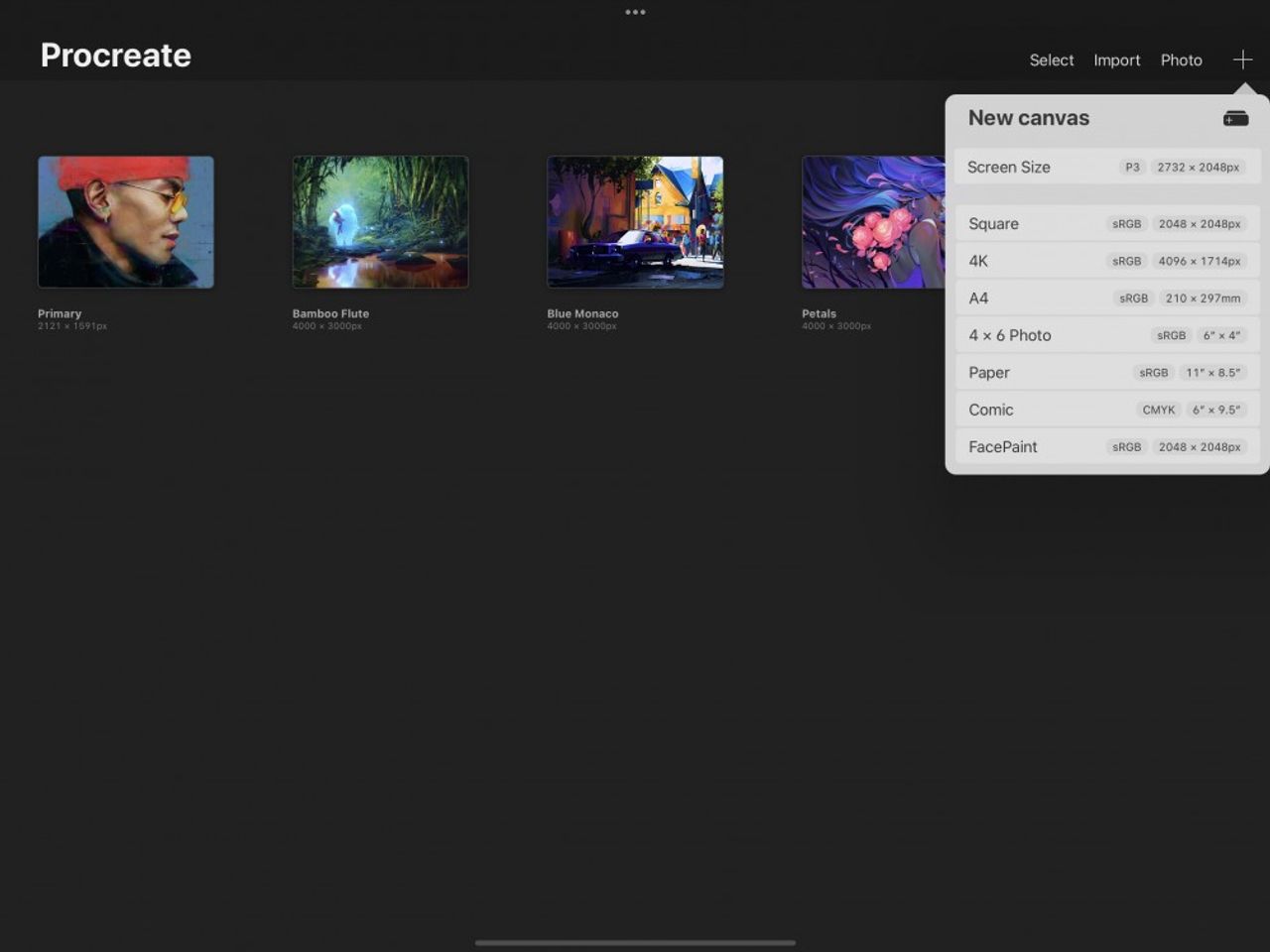 Profiles — Procreate 使用手册