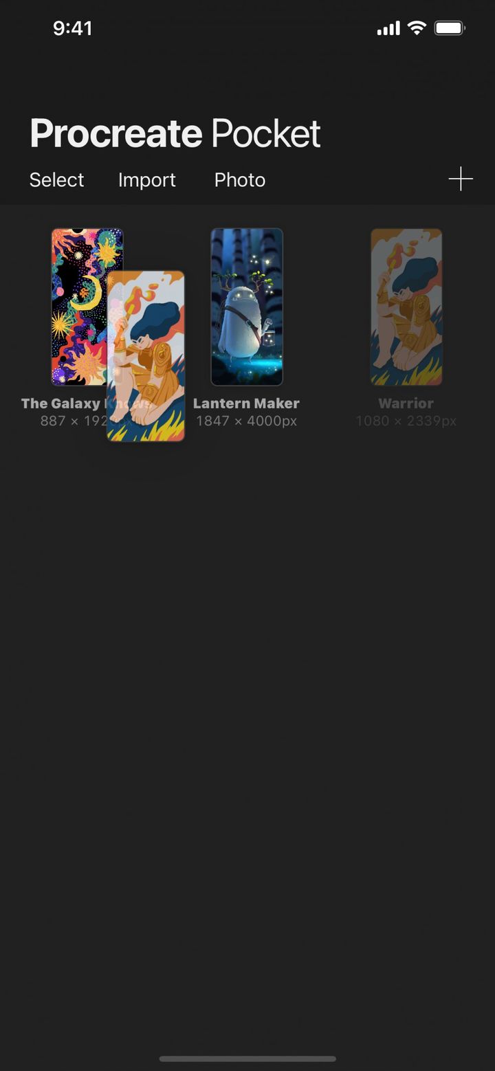 Organize — Procreate Pocket Handbook