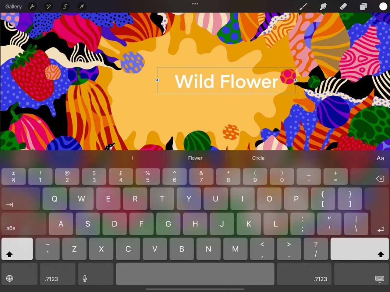 Interface and Basics — Procreate Handbook