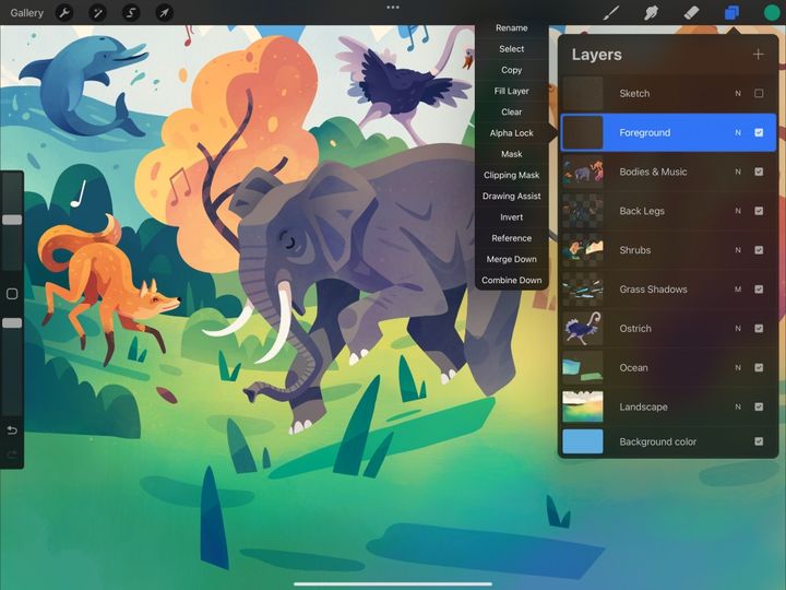 Options — Procreate Handbook