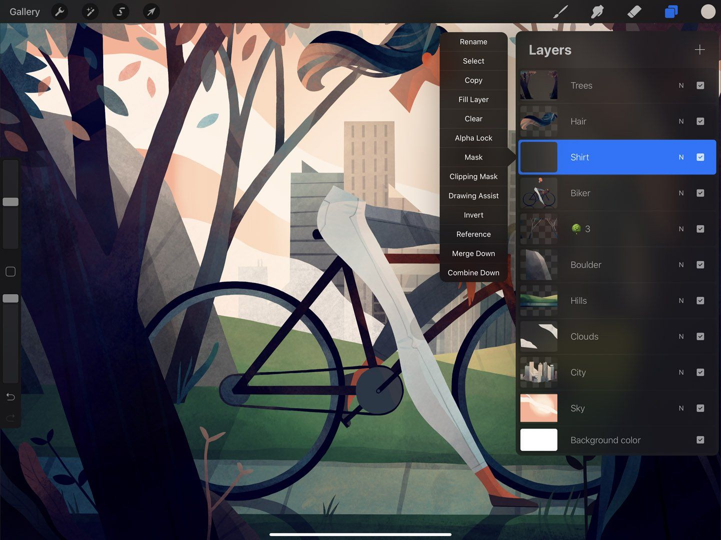 Options — Procreate Handbook