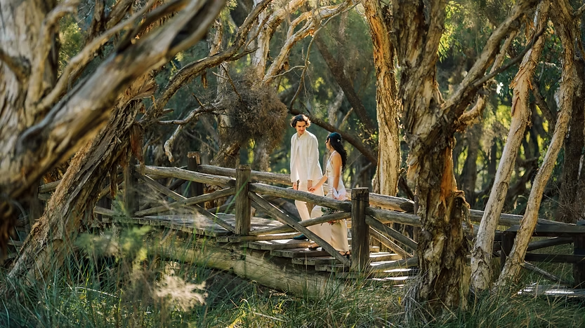 Two couple at the forest