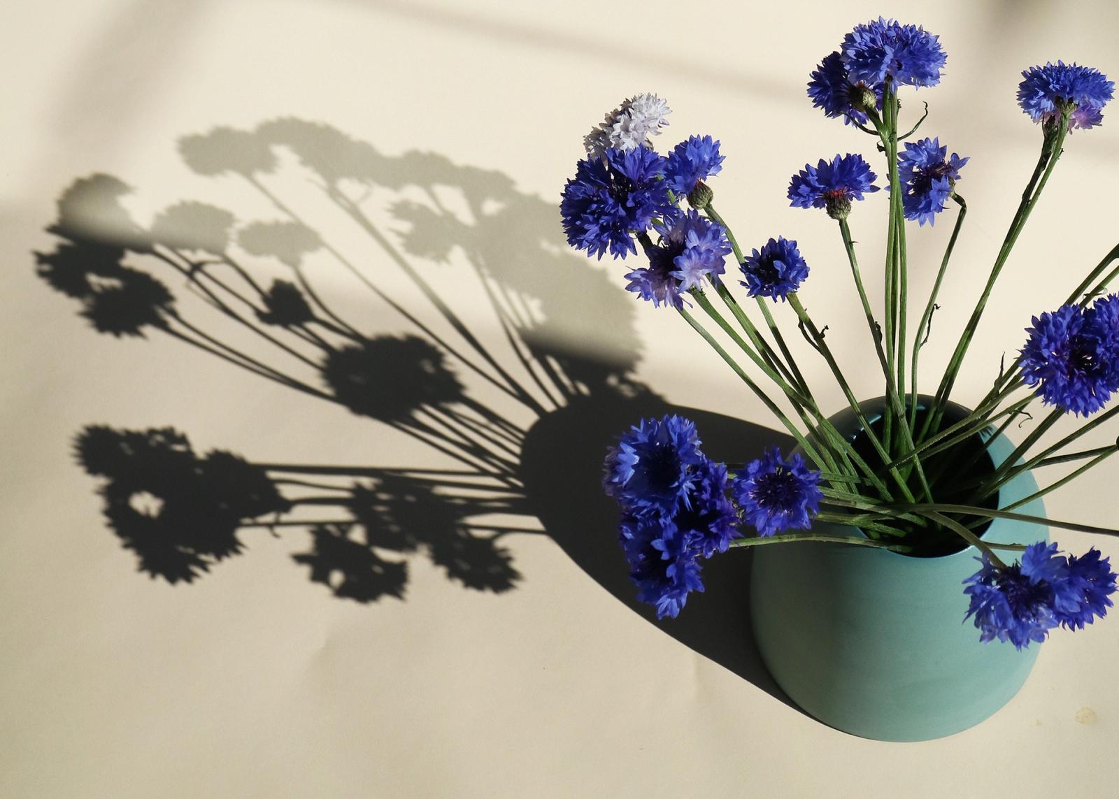 Ceramic Vases Handmade Australia Mud Australia