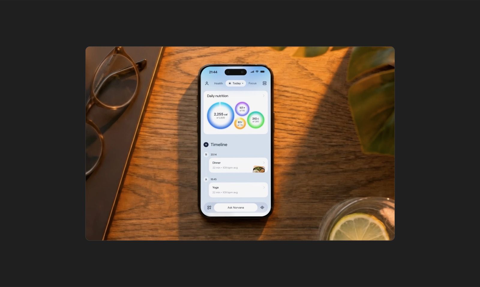 Norvana AI health companion designed by The Gradient