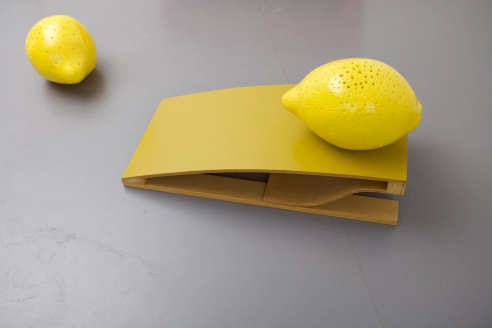 Zitrone 10