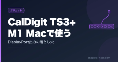CalDigit TS3 PlusでDP出力が映らない時、ファームウェア更新で直った話【M1 Mac】
