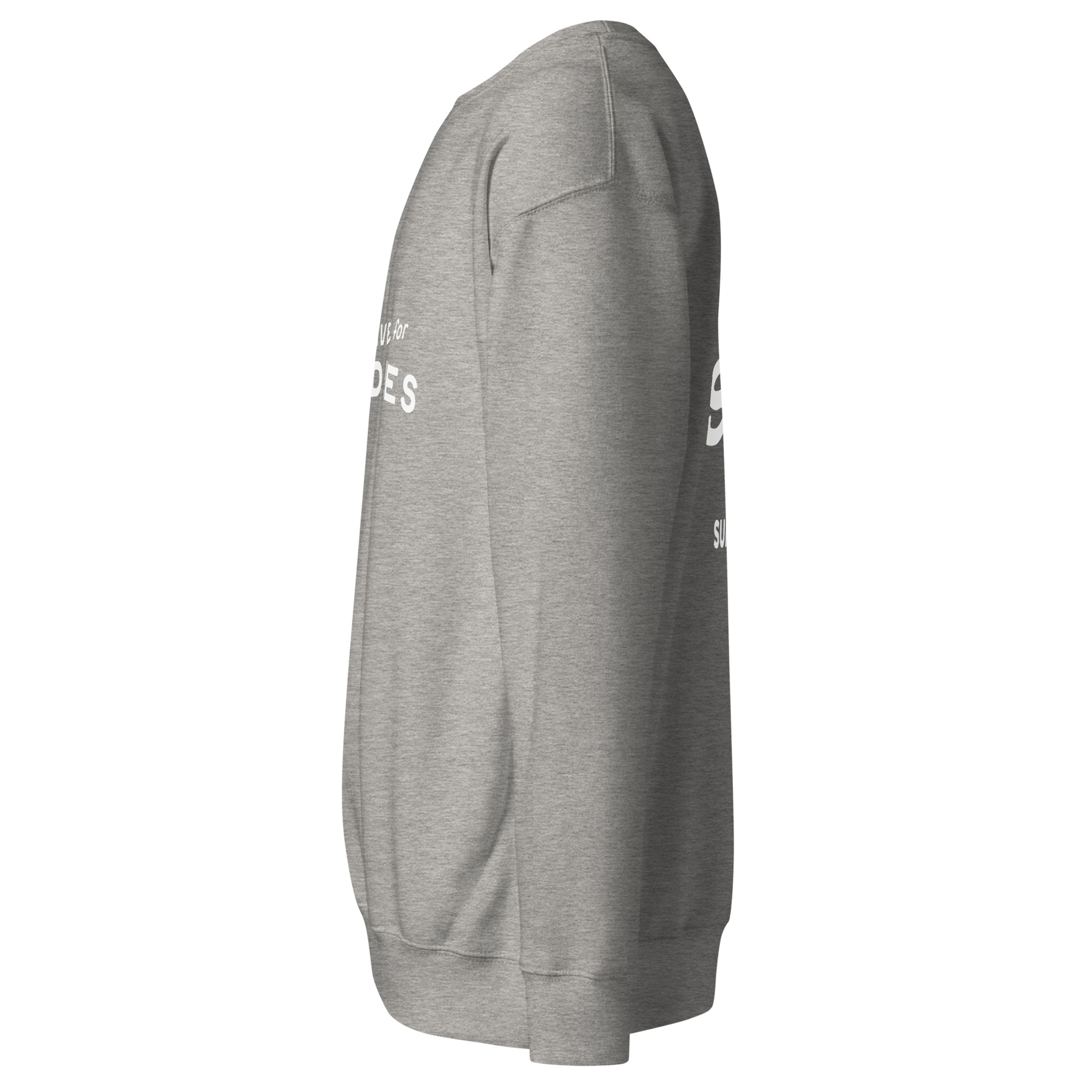 Carbon grey crewneck sweatshirt shown from the left side, with the white "will TRAVEL for NOODLES" front print partially visible.