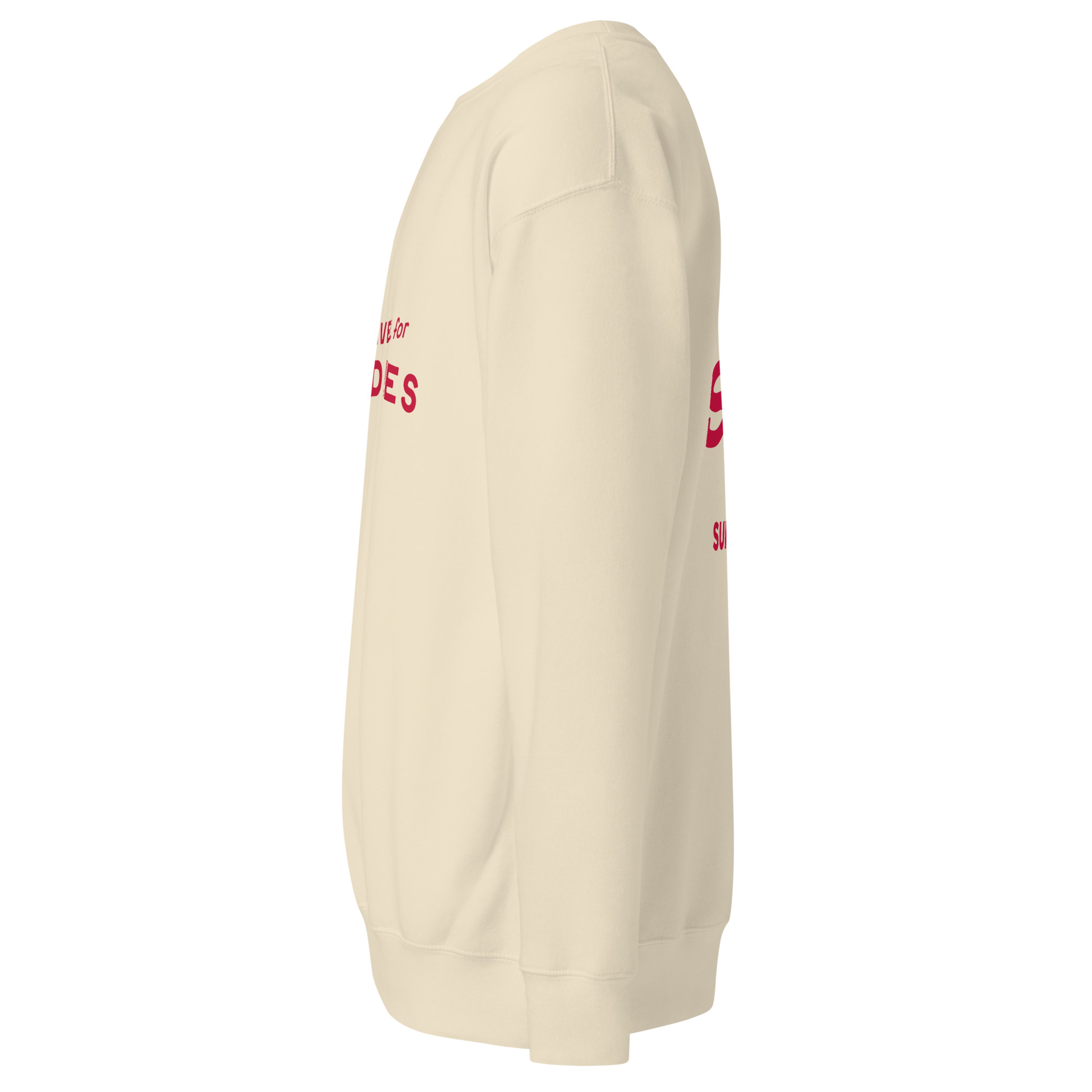 Crewneck sweatshirt with "will TRAVEL for NOODLES" printed across the chest in white lettering.