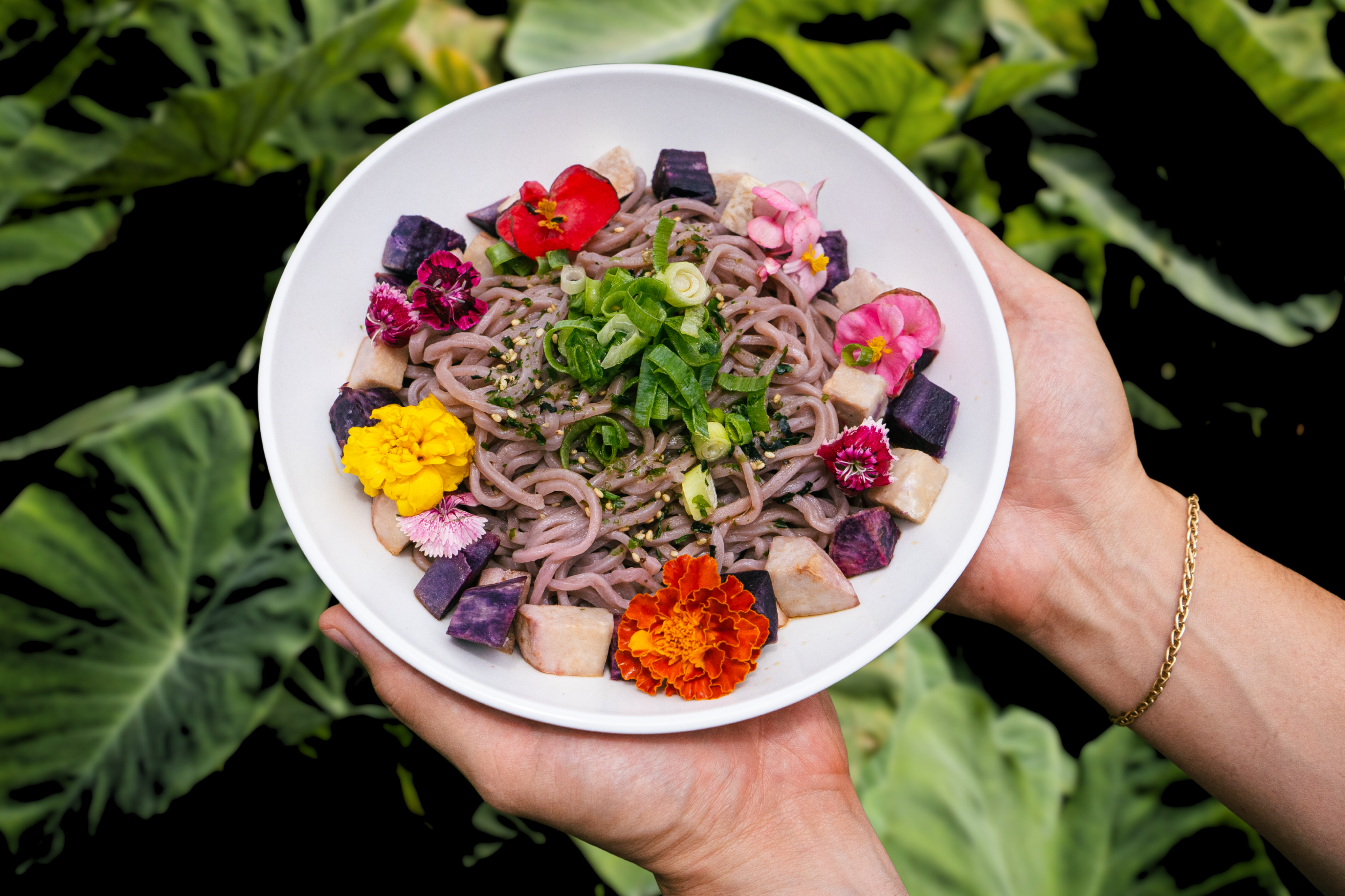 Sun Noodle | SUN NOODLE AND SIG ZANE: CELEBRATE 40 YEARS WITH A