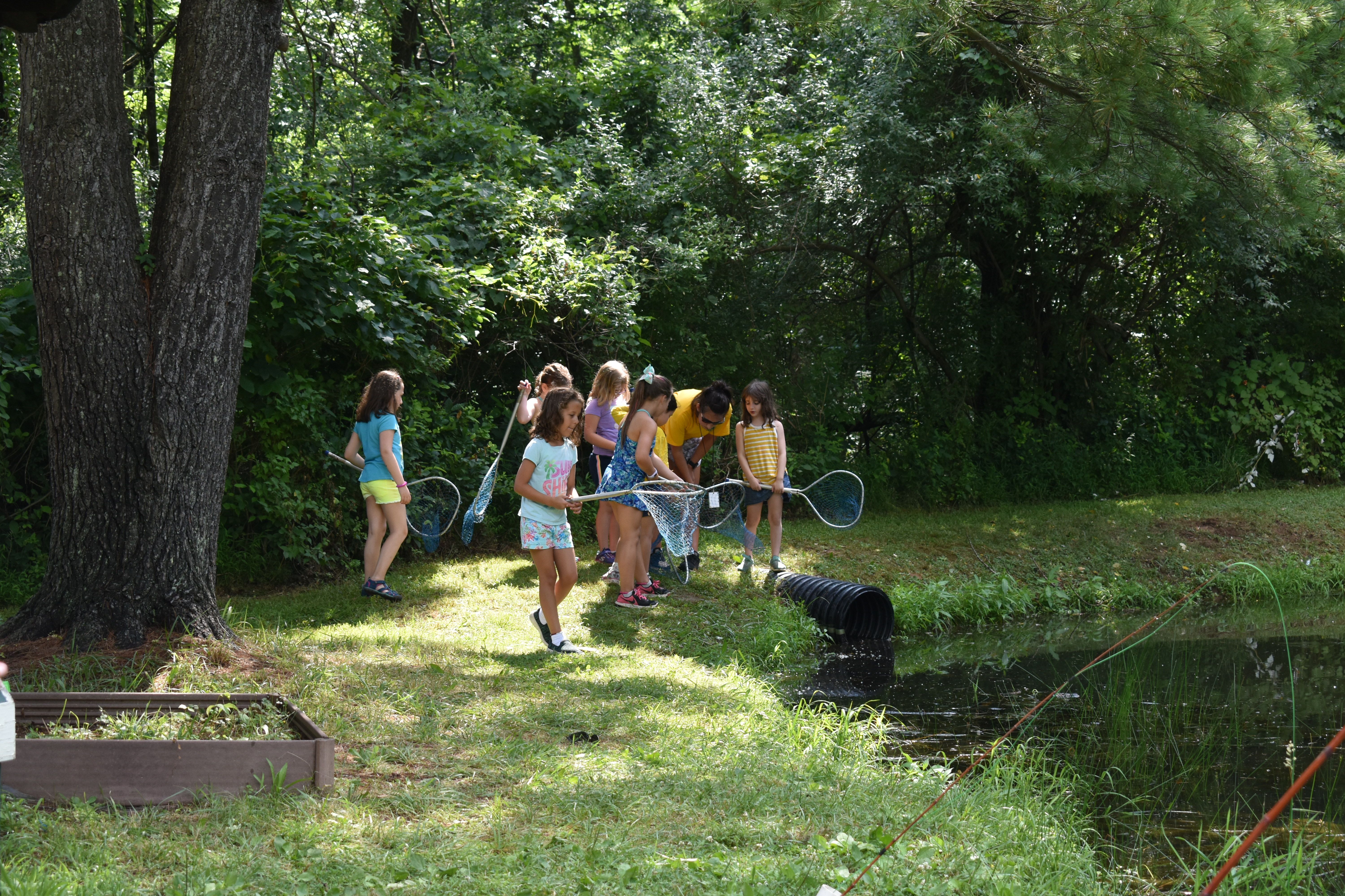 children at nature studies at Rambling Pines Day Camp