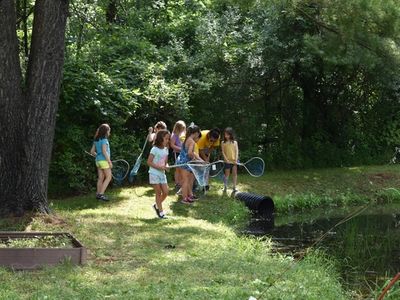 children at nature studies at Rambling Pines Day Camp