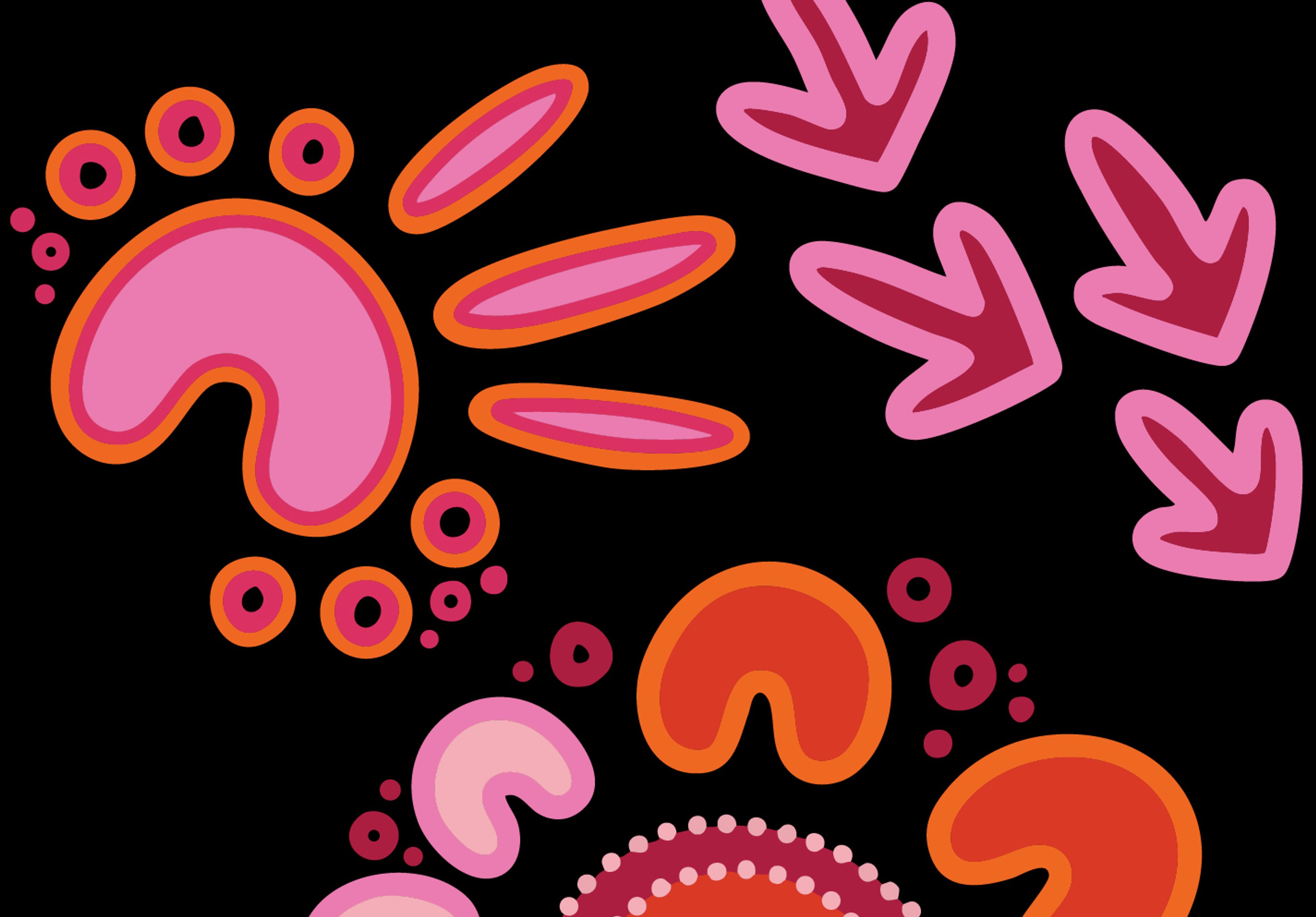 Traditional Aboriginal designs in hot pink, orange and red on a black background