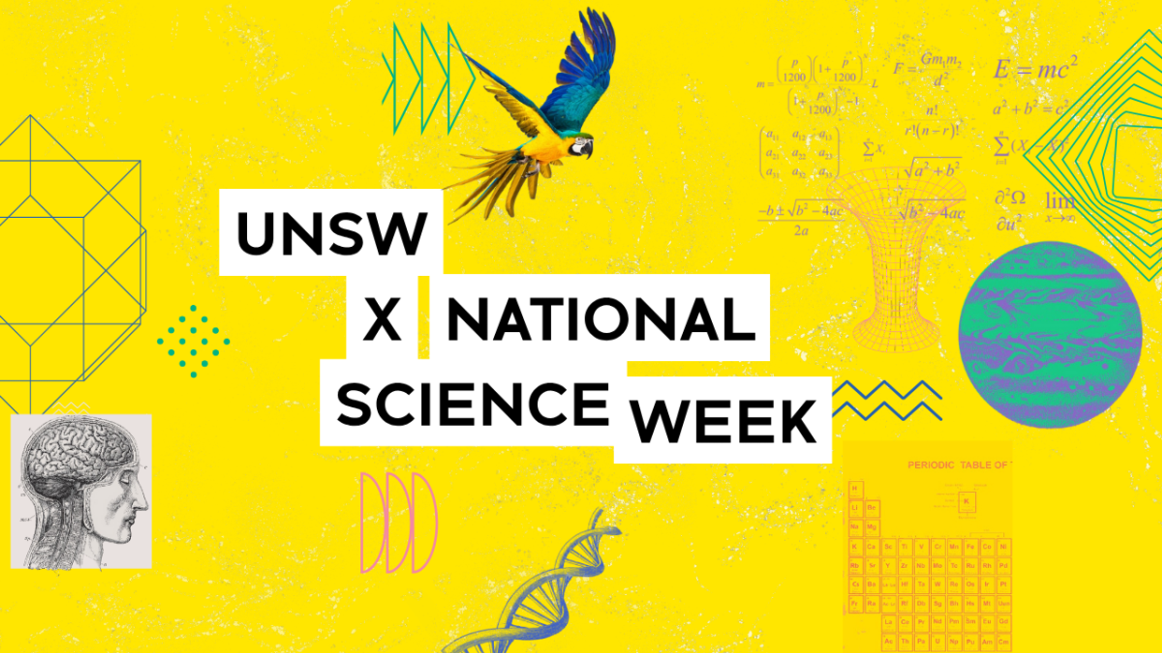 This National Science Week, UNSW stages a program of events that spark curiosity and spotlight innovation.