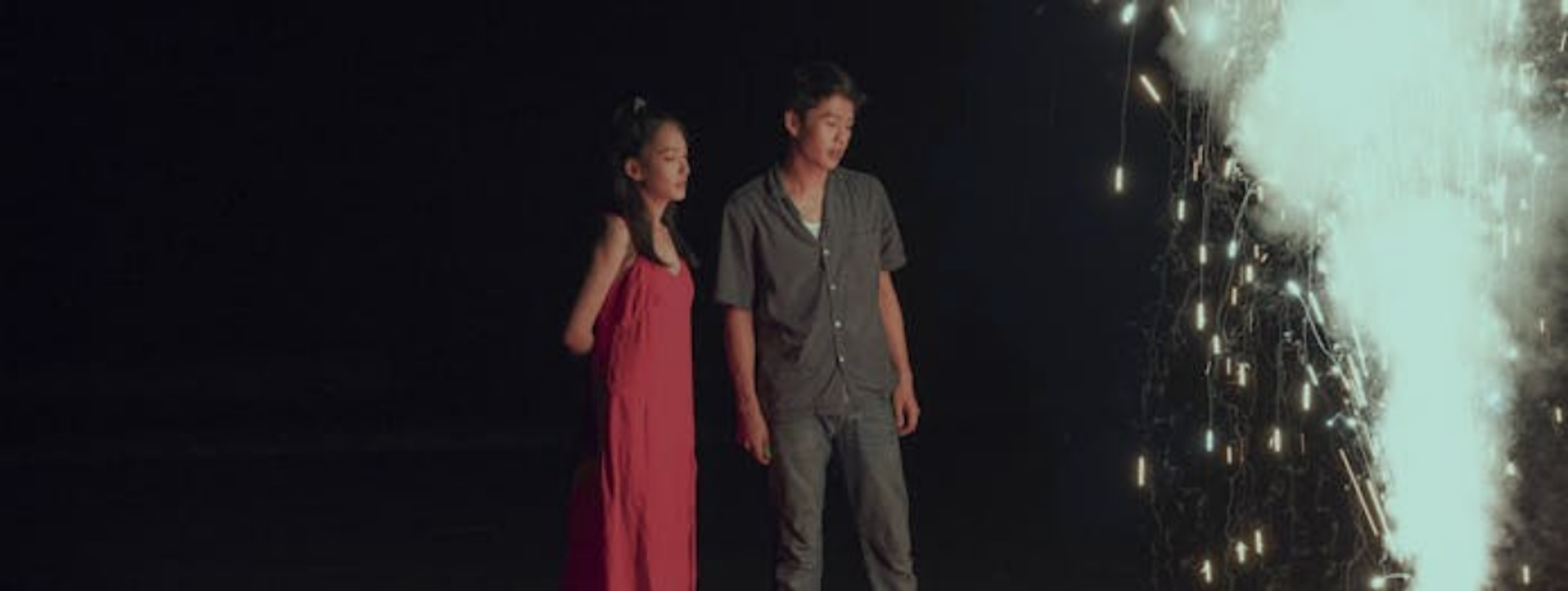 Panorama of Chinese Film presents a diverse collection of classic and new Chinese films, organised by the Chinese Independent Film Foundation